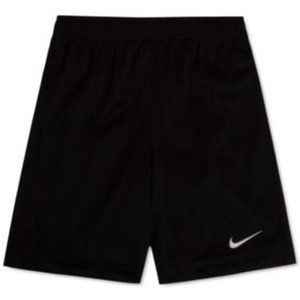 Nike Mesh Training Shorts